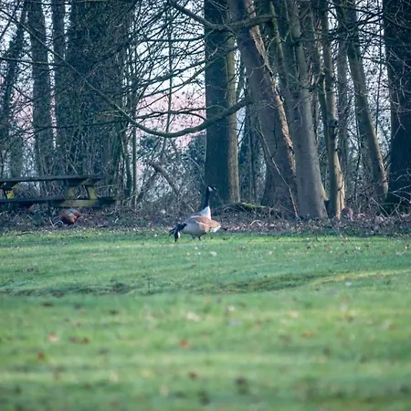 Clos Du Beron- Meuble De Tourisme Aparthotel Cappelle-en-Pevele