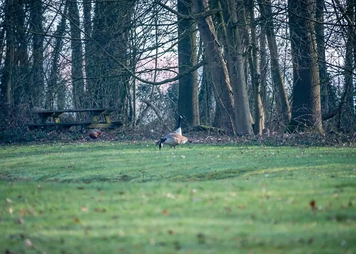 Apprt Clos Du Béron Appart hôtel Cappelle-en-Pevele